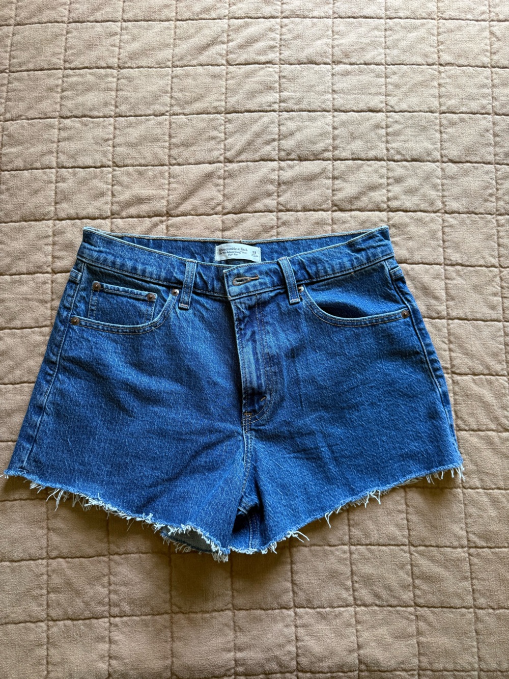 Abercrombie & Fitch 90s cutoff Denim Cutoff Shorts 29 NWOT